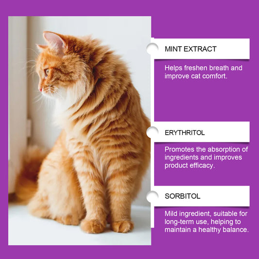 Pet Cat Daily Care Vitamin Supplement