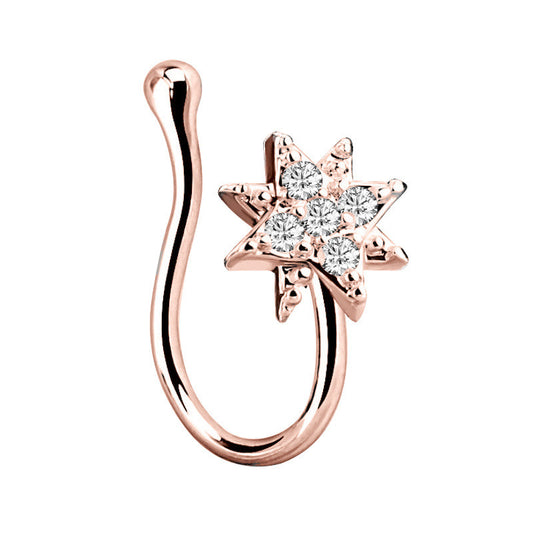 Twisted nose ring and nose nail
