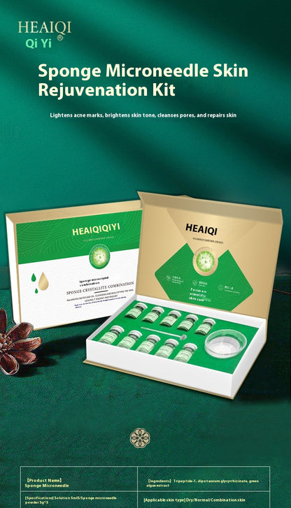 Sponge Micro Smallpox Diluting Repair Micro Needle Kit