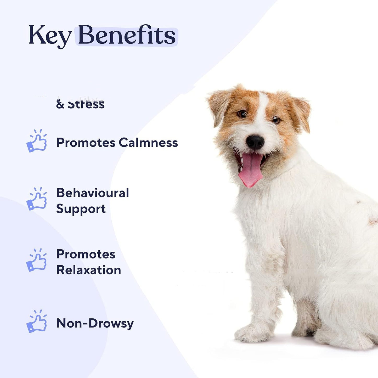 Pet Calm And Soft Chewable Tablet Calm Stress Relief