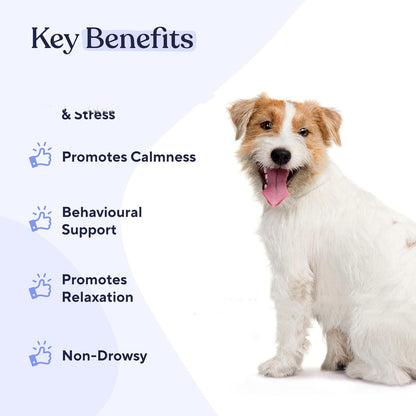 Pet Calm And Soft Chewable Tablet Calm Stress Relief