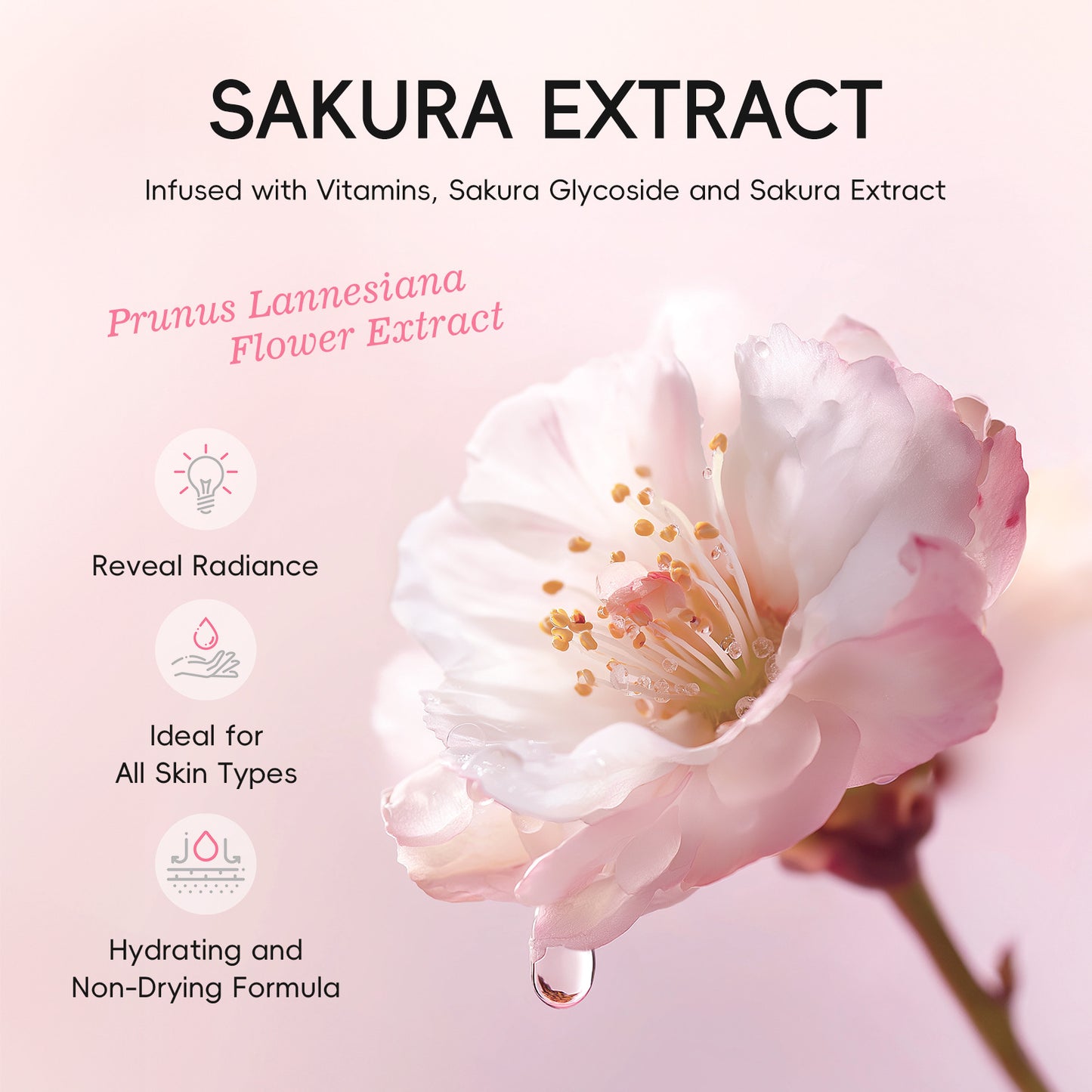 Cherry Blossom Fragrance Body Roll-On Deodorant
