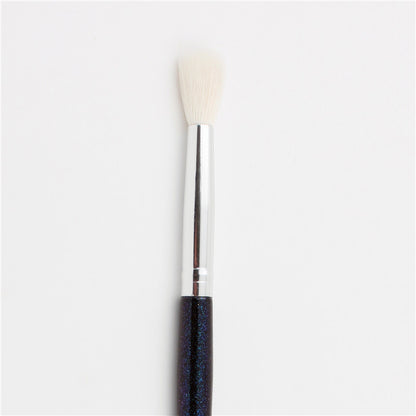 Eye makeup brush set