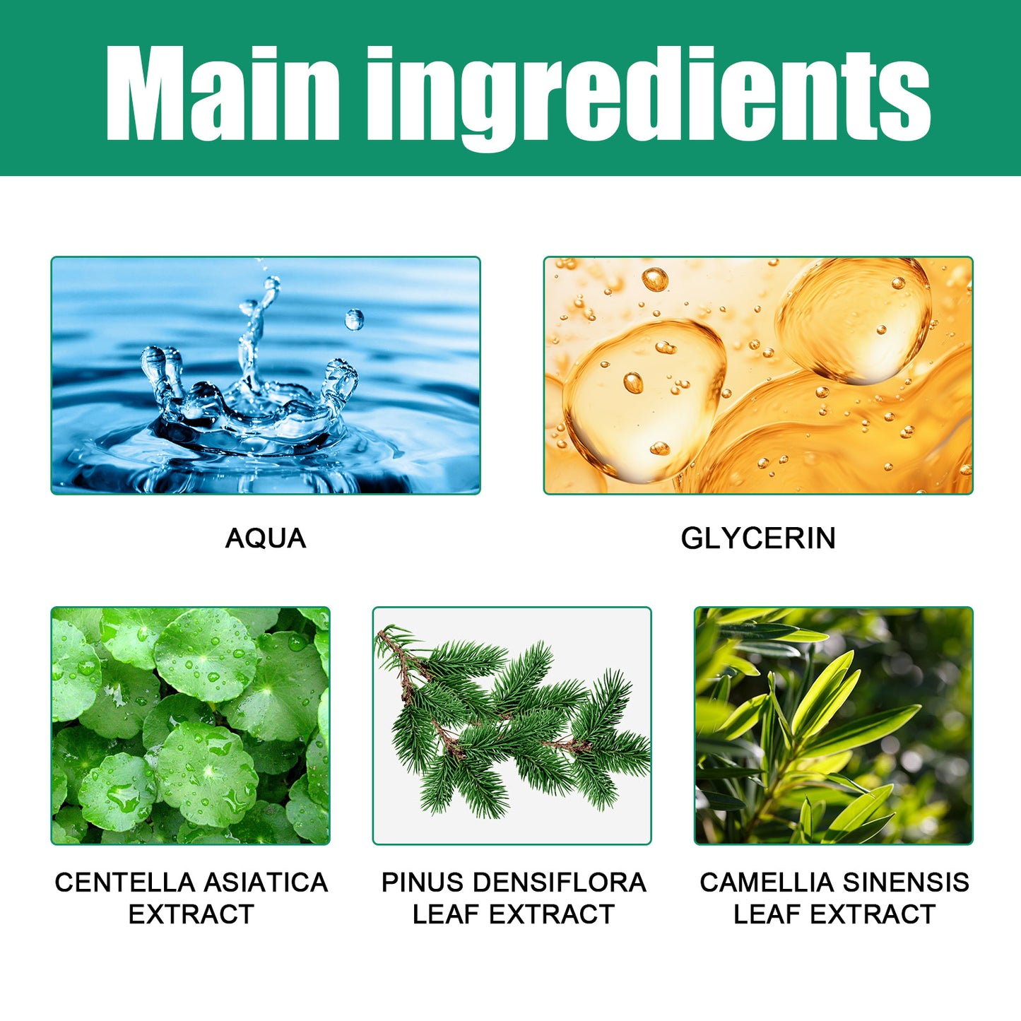 EELHOE Pine Soothing Centella Asiatica Cleanser, Deep Clear Pores Soft Moisturizing Skin Moisturizing Non-Tight Cleanser
