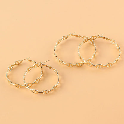 Hoop Earrings European And American  Style Earrings Earrings