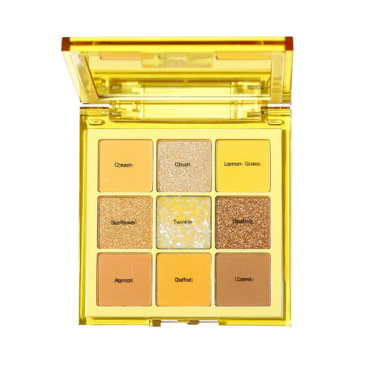 Nine Colors Eye Shadow Plate Stage Makeup Sequins Makeup Matte Orange Earth Tone Eyeshadow