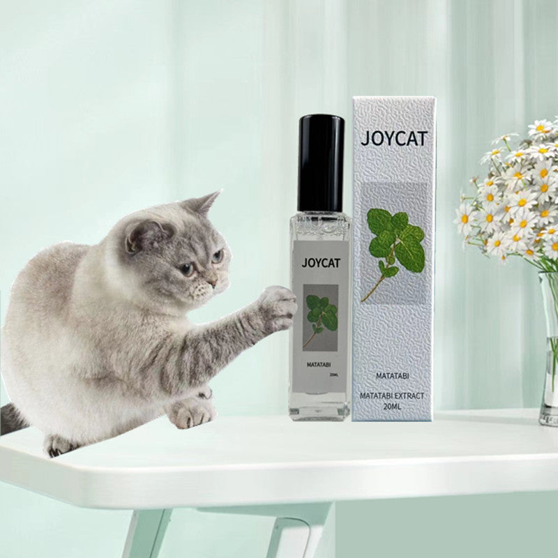 Household Personalized Cat Happy Water