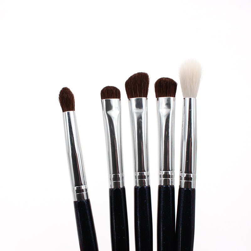 Eye makeup brush set