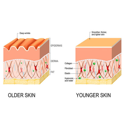 Intensive Anti-wrinkle Fade Fine Lines And Dark Circles Adjust Skin Tone Tighten And Moisturize Skin Care
