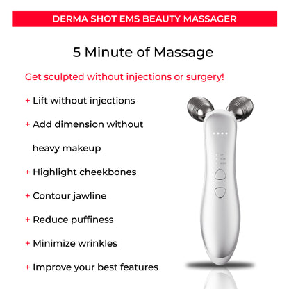 Micro-current Roller Face Slimming Massager 2-wheel Shaping Skin Tightening Beauty V Face
