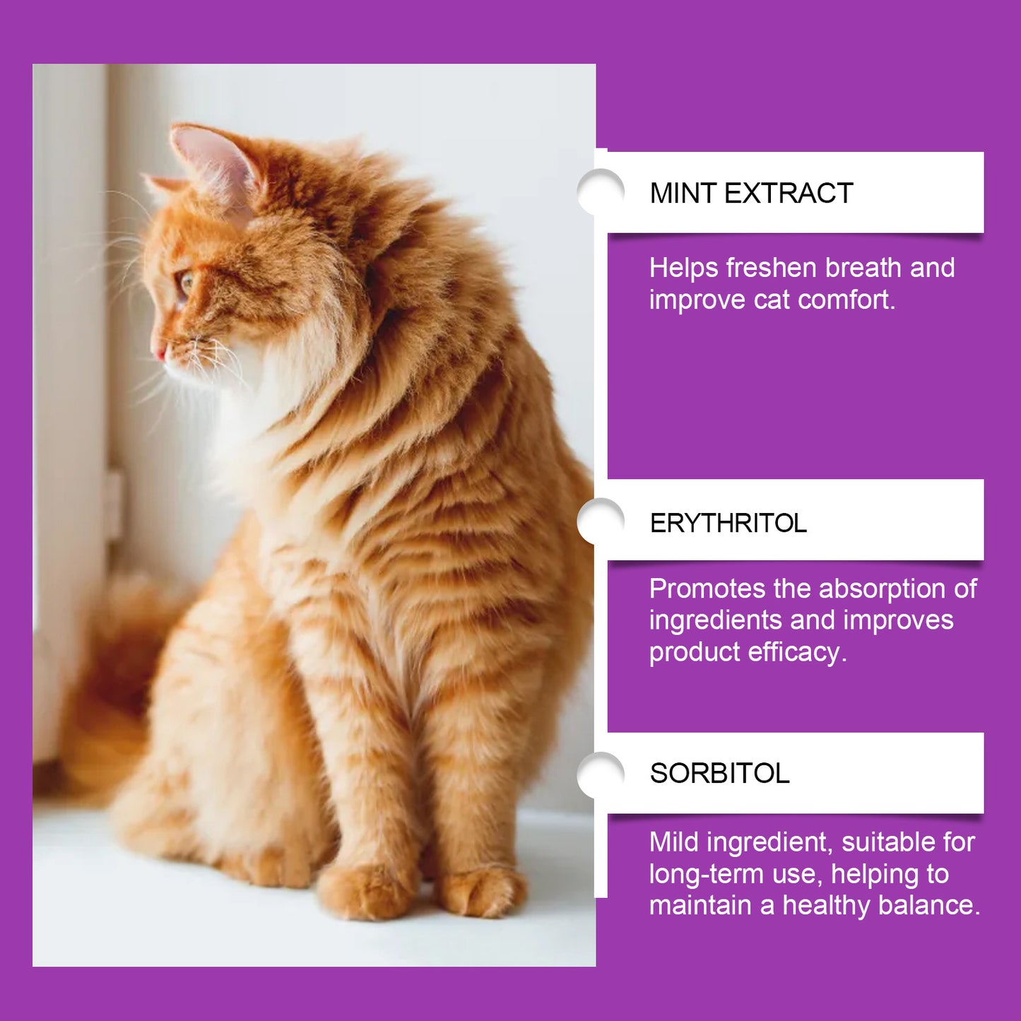 Pet Cat Daily Care Vitamin Supplement