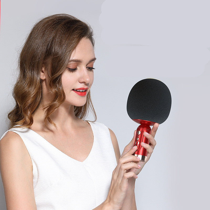 Big Mushroom Head Stereo Integrated Mobile Phone K Song Wireless Microphone