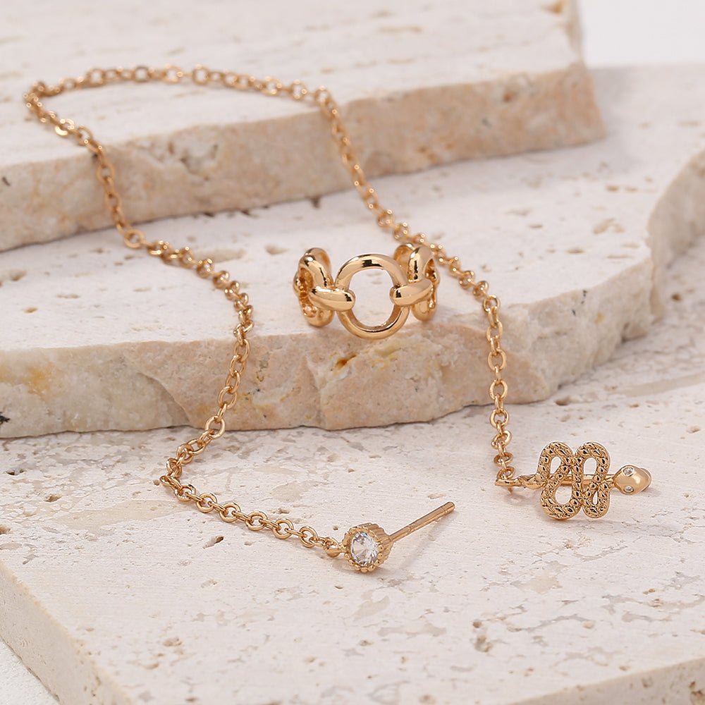 Personalized Earrings One-piece Pierced Nose Ring Chain, Retro Snake-shaped Nose Ring, Ring-shaped C-ear Clip Female Set Accessories