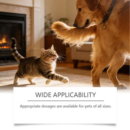 Joint Health Chewable Tablets For Dogs