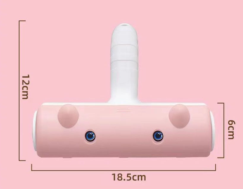 Two-way Hair Remover Cat Hair Dog Fur Cleaning