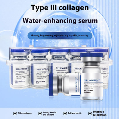 Salmon Three-type Collagen Solution Kinetic Energy Element Water Light