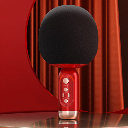 Big Mushroom Head Stereo Integrated Mobile Phone K Song Wireless Microphone