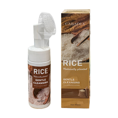 Amino Acid Cleansing Mousse Aloe Rice