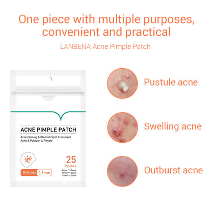 Tea Tree Daily And Night Acne Aste To Reduce