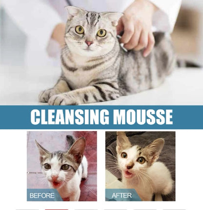 Pet Dry Wash Dry Cleaning Foam Body Wash For Cat And Dog Bath
