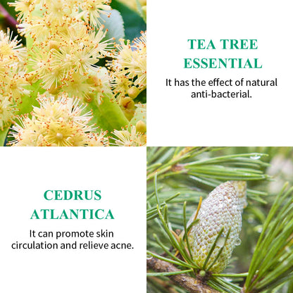 Simple Home Brightening Tea Tree Repair Liquid