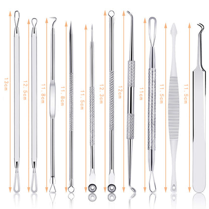 Stainless Steel Acne Needle Clip Double Head Beauty Tool Set